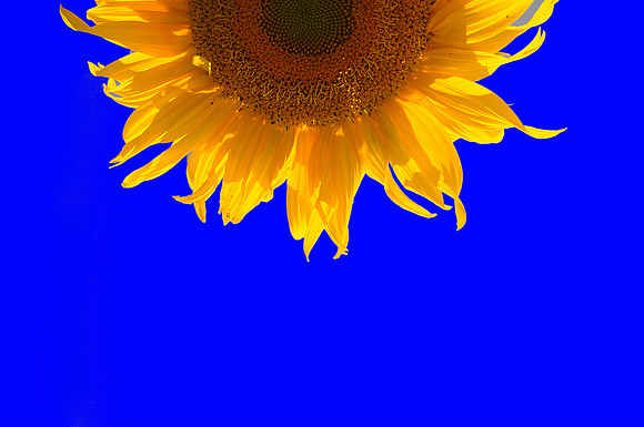 081212sun102
