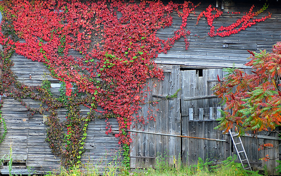 101012barn13